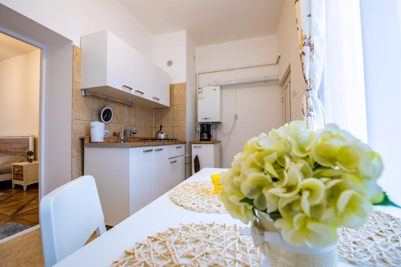 Apartment Amalia Sibiu Exteriér fotografie